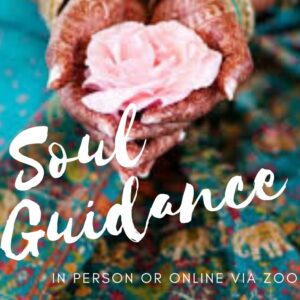 Soul Guidance & Support Session